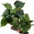 Artificial aquarium plants decoration 2 pieces (23cm + 18cm high) plastic plants aquarium artificial aquatic plants aquarium plants large for aquarium at home office office