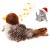 Gigwi chirping bird cat toys interactive cat toys melody chaser bird toys for cats to play alone funny squeaky kitten toys for boredom bird motif