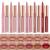 12 Pcs Liquid Lipstick Lipliner Set Nude Lipliner Matte Lipstick Long Lasting Non-Fading Stay On 24 Hours Waterproof Lip Glosses Makeup Set Gift For Women (Set C)