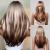 Allbell Long Straight Wigs for White Women Brown Highlight Mixed Grey Hair with Bangs ombre brown blonde 2068-9