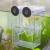 Senzeal Aquarium Fish Breeder Box Plastic Fish Isolation Breeding Box Hatching Incubator Box for Baby Fish Shrimp Clownfish Guppy Medium