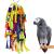 RANYPET Large and Small Parrot Chewing Toys - Parrot Cage Bite Toys Wooden Block Tearing Toys for Conures Cockatiels African Grey and Other Amazon Parrots