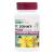 NaturesPlus Herbal Actives St John's Wort, Extended Release - 450 mg, 60 Vegan Tablets - Vegetarian, Gluten-Free - 60 Servings 60 Count (Pack of 1)