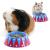 HAYPIGS Guinea Pig Bowl - Circus Themed Junior FOOD CRAVING TAMER Mini Guinea Pig Food Bowl - Hedgehog Bowl - Hamster Bowl - Small Animal Food Bowl Small Bowl