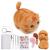 QMNNMA Needle Felting Kit, Animals Needle Felting Set, DIY Wool Felt Materials Set with Felting Tool and Instruction for Needle Felting Craft Project and DIY Handmade cat2