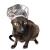 Kotomoda Shower Caps for Sphynx Cats and small pets 20pcs Transparent