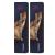 Wella Koleston Perfect ME+ KP Pure Naturals 6/0 Dark Blonde Hair Colour Pack of 2 Brown 120 ml (Pack of 1)