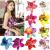 10 Pieces Women Chiffon Flowers Hair Clips Butterfly Orchid Alligator Clips for Bridal Wedding Accessory Beach Party Wedding Event Decor Single Flower