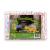 Rearz - Dinosaur - Elite Adult Diapers (12 Pack) (Medium) Medium (12 Count)
