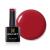 Bluesky Gel Nail Polish Pillar Box D160 Bright Red Long Lasting Chip Resistant 10 ml (Requires Drying Under UV LED Lamp) Bright Red 10 ml (Pack of 1)