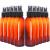 Youngever Set of 10 Plastic Spray Bottles 120ML Travel Bottle (Amber)
