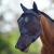 Harrison Howard CareMaster Full Face Fly Mask Piano Black Cob (M)