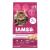 Iams Proactive Health Adult Urinary Tract Health Dry Cat Food 7 Pound (Pack of 1)
