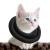 Ohcozzy neck rope cat with an adjustable waistband soft cat collar with anti-leaf function after the operation pet protective collar (size S black) s black