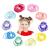 Qufiiry Hair Bands 200 Pcs Small Hair Bands Baby Hair Bands Multicolor Hair Bands for Girls Elastic Hairbands Ponytail Holders Hair Tie Suitable for Children Girls 200 Count (Pack of 1)