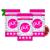 PUR GUM |Sugar -free chewing gum |100% xylitolVegan aspartam -free gluten -free & diabetic -friendly |Natural chewing gum with pomegranate MINT taste 55 pieces (3 pack) Pome grenade mint 55 pieces (3 -pack)