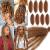 Leeven 16 Inch Pre Separated Springy Twist Hair for Afro Marley Locs 8 Packs Pre-Fluffed Popping Spring Twist Crochet Hair for Distressed Locs Afro Kinky Curly Marley Braiding Hair Extensions /27# 16 Inch (Pack of 8) 27#
