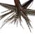 One Fine Day Feathers 25 Real Feather Hair Extensions: Short Skinny 7-9 inch (18-23cm) + Rings/Loop (Auburn Naturals)