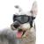 Petleso dog glasses for medium-sized breeds UV protection windproof eye protection pet sunglasses with adjustable straps for driving/outdoor activities black gray