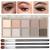 10 Colors Eyeshadow Palette Smooth Matte Nude Eye Makeup Palette,High Pigmented, Naturing-Looking, Ultra-Blendable,Long Lasting High Neutral Eyeshadow Pawlette with 3 Eyeshadow Brush(Cement color)