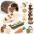 Hamster Toys Guinea Pig Toys Hamster Wheel Hamster Cage Accessories Small Animal Molar Chew Toys for Chinchillas Gerbils Mice Rats Mouse Rabbit Bunny Hideout Seesaw 12 Different chew toys