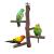 Filhome Bird Perch Stand Toy, Natural Wood Parrot Perch Bird Cage Branch Perch Accessories for Parakeets Cockatiels Conures Macaws Finches Love Birds M: 10" Length