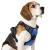 Rabbitgoo dog harness medium -sized dogs dog harness without train adjustable dishes dog without choking anti -pull dog harness with handle soft padded reflective chest harness blue M m (1 Pack) blue