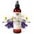 Lavender & Chamomile Aromatherapy Freshening & Shining Spray For Pets, Dog Grooming Spray & Pet Odor Eliminator - 8 FL OZ (236 mL)