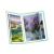 A3 Diamond Painting Storage Book for Diamond Painting Kits, 30 Pages Diamond Art Storage Presentation Book for 60 Diamond Painting Pics, Diamond Painting Portfolio Folder for Artwork, 16.5x12.1in Green A3 - 16.5 x 12.1 in