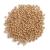 Frontier Co-op Organic Whole Yellow Mustard Seed 1lb 16 Ounce