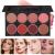 8 Colors Blush Palette  4 Powder + 4 Cream Blush Palette  Contour and Highlight Blush Palette  Natural Nude Makeup Brighten Skin Tone Portable Makeup Blush  Professional Facial Makeup Blush