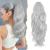 BARSDAR Claw Clip In Ponytail Hair Extensions Long Wavy Grey Ponytail Extension Synthetic Clip in Ponytail Hairpiece for Women Girls Daily Use Party(20'' Icy Silver Grey) 20 Inch (Pack of 1) Icy Silver Grey
