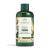 The Body Shop Shower Gel  Moringa  8.4 Fl Oz (Pack of 1) Moringa 250ml