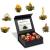 Creano Blooming Tea Mix 6pcs Flowering Tea White Tea in Elegant Magnetic Box with Silver Embossing