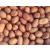 Pinstar Premium Raw Red Skin Peanuts, 5 Pounds