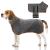 Jostift microfiber dog bathrobe bath towel dog wadema extra absorbent fast drying dog bemper dog towel with adjustable straps for large means and small dogs (gray m)