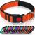 Taglory dog collar soft padded neoprene nylon dog collar for small dogs adjustable and reflective for training orange s (1 Pack) orange
