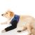 COOUTO DOG RECOVERY Suit abrasion -resistant dog Recovery sleeve washable 2.5mm waterproof pets prevent wounds bite keep dry (L)