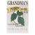 Grandma's Poison Ivy Soap Bar - 2.0 oz Itch Relief Wash with Jewelweed & Colloidal Oatmeal - 67012