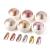 BISHENGYF 6 Box Rose Gold Chrome Nail Powder Metallic Nail Art Pigment Powder Set Shiny Nail Glitter Powder with Magic Mirror Effect for Nail Art Design Decoration. 01