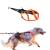 Non-Stop Dogwear Freemotion Harness 5.0 Black/Orange - 5 Orange/Black 5