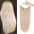 REECHO Invisible Wire Hair Extensions with Transparent Headband Adjustable Size Removable Secure Clips in Straight Secret Hairpiece for Women (20 Inch (Pack of 1)  Light Blonde) 20 Inch (Pack of 1) Light Blonde