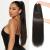 REECHO Ponytail Extension 28" Long Straight Drawstring Pony Hair Extension Synthetic Pony Tail Hairpiece for Women Black Brown