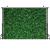 LYWYGG 7x5FT Green Leaves Photography Backdrops Nature Backdrop Birthday Background for Birthday Party Seamless Photo Booth Prop Backdrop CP-87