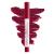 Physicians Formula Ros  Kiss All Day Glossy Lipstick Lip Color Makeup  Red Xoxo | Dermatologist Tested  Clinicially Tested Xoxo 1 Count (Pack of 1)