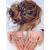 Heread Crystal Bride Wedding Hair Pins Rhinstones Bridal Hair Accessories Head Piece for Women and Girls (Pack of 3) (A Silver)