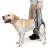 Dotoner Dog Lifting Harness Dog Support Harness for Back Legs Soft Dog Support Sling for Injured Disabled Small Medium Large Dogs Dog Sling for Back Legs Dog Lift Support Harness(XL Grey) XL Grey