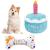 Minshuxi dog birthday cake toys squeaky dog toy birthday bones plush squeaky toy cake toys for pets interactive birthday present