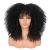 ANNISOUL 16Inch Curly Wigs for Black Women Black Afro Bomb Curly Wig with Bangs Synthetic Fiber Glueless Long Kinky Curly Hair 16 Inch Black