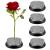 4 Pcs Flower Frogs Flower Arranger Flower Pin Frog Round Frog Flower Fixed Tool Floral Arrangement Pin Holder Japanese Flower Holder Flower Arranger for Vase Flower Arrangement Plant Fixation  Silver
